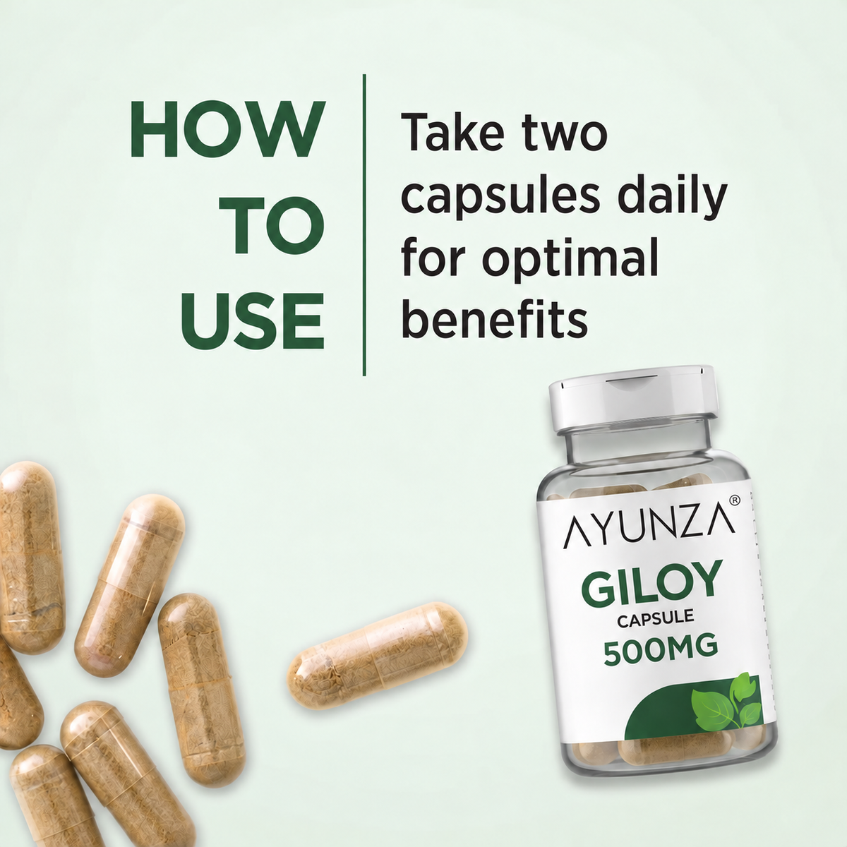 AYUNZA Giloy Capsules | 500mg