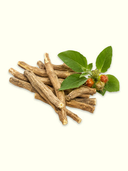 Ashwagandha: