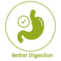 Better Digestion