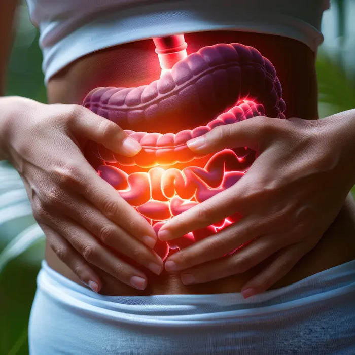 Organic Digestion Treatment: Problems and Remedies