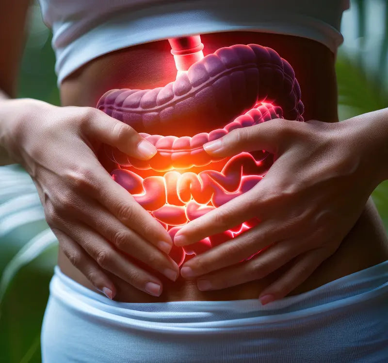 Organic Digestion Treatment: Problems and Remedies