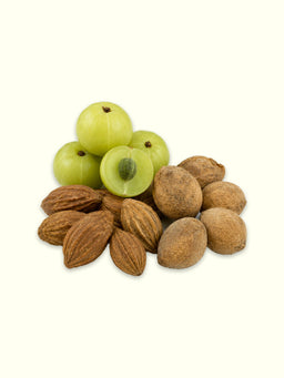 Triphala (Amla, Haritaki, Bibhitaki):